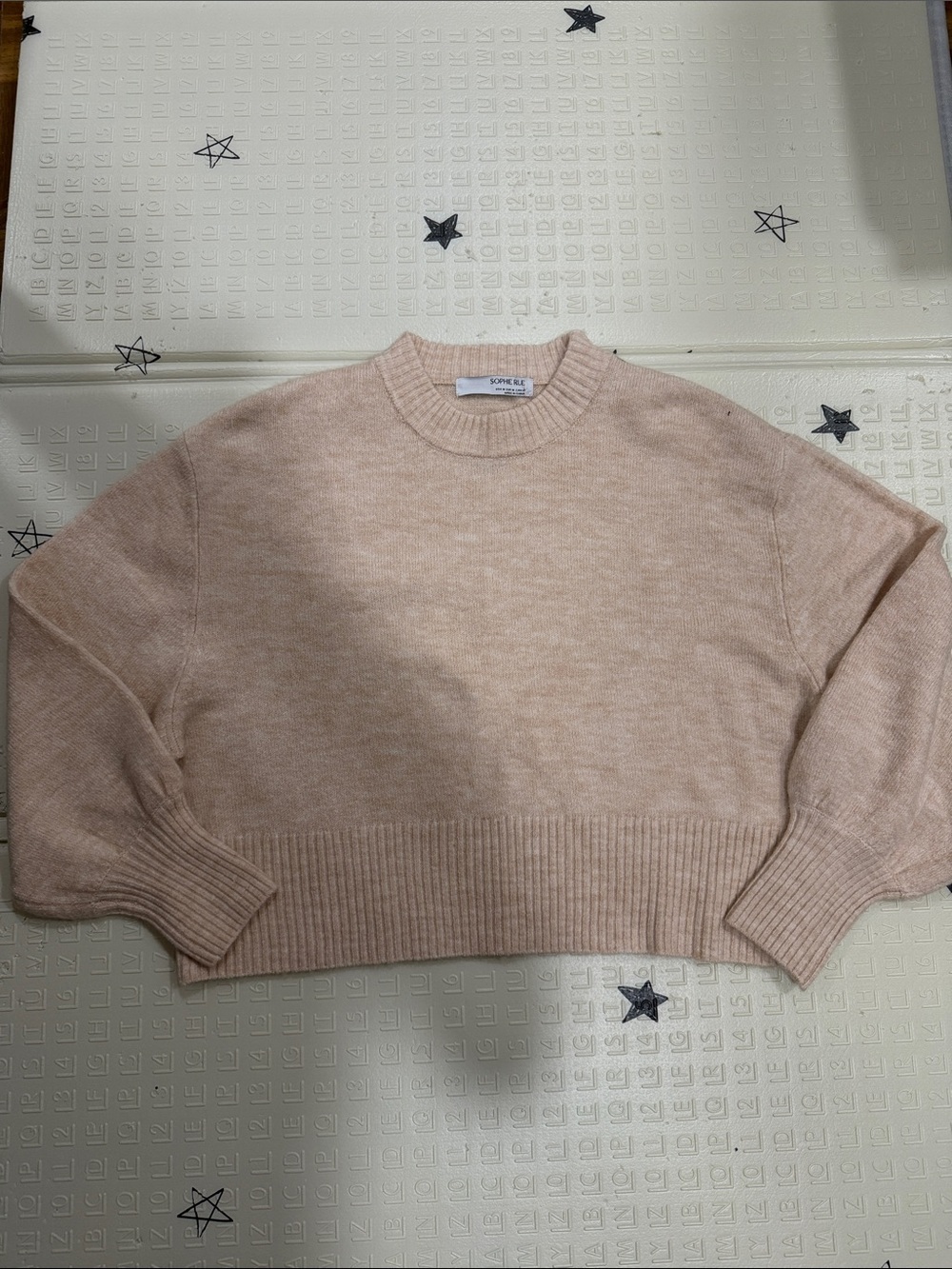 Sophie Rue Soft Blush Crewneck Sweater